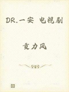 DR.一安 电视剧